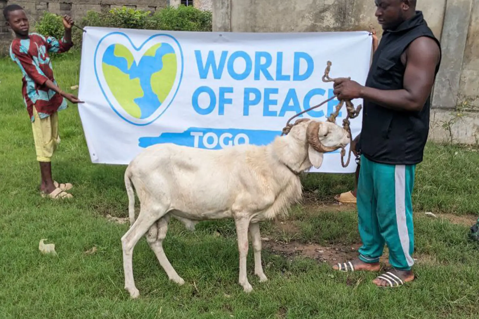 Aqiqa - Donate Your Sheep